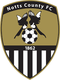 https://img.cnfluidnet.com/img/football/team/9e230c89a846b9cadf91884918fa7611.png